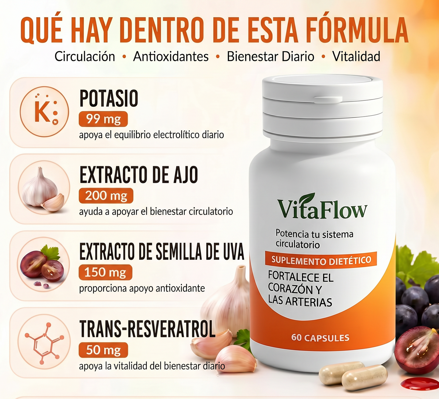 VitaFlow™ | Apoya tu circulación y siente tu cuerpo más liviano
